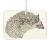 DIY Hedgehog luchtverfrisser (Achterkant)