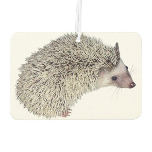 DIY Hedgehog luchtverfrisser (Achterkant)