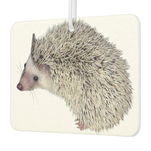 DIY Hedgehog luchtverfrisser (Links)