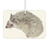 DIY Hedgehog luchtverfrisser (Voorkant)