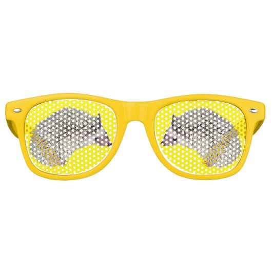 DIY Hedgehog tinten 2 Retro Zonnebril (Voorkant)