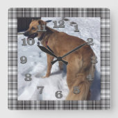 DIY-hondenfoto met grijs en zwart gelaagd lijst Vierkante Klok (Voorkant)