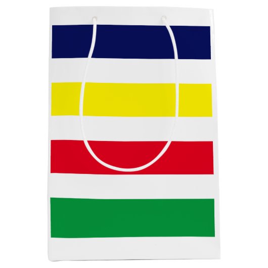 DIY-kleuren 4 Stripe Red Blue Green White Medium Cadeauzakje (Voorkant)