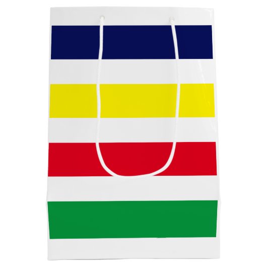 DIY-kleuren 4 Stripe Red Blue Green White Medium Cadeauzakje (Achterkant)