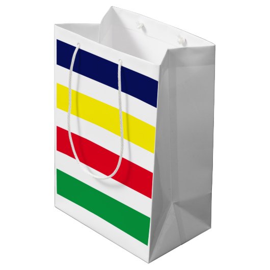 DIY-kleuren 4 Stripe Red Blue Green White Medium Cadeauzakje (Achterkant Gekanteld)