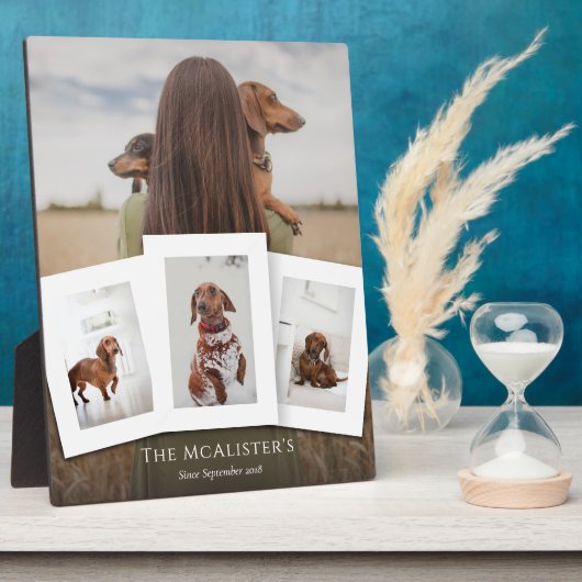 DIY Pet Vier Foto Collage Plaque Fotoplaat (Zijkant)