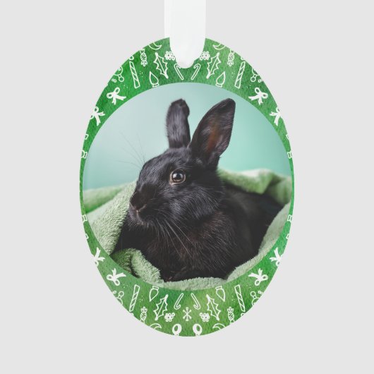 DIY Rabbit on Green Oval Christmas Ornament (voorkant)