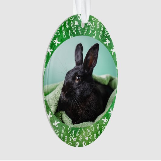 DIY Rabbit on Green Oval Christmas Ornament (voorkant)