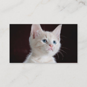 DIY Upload je foto op maat leeg Visitekaartje