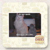 diz mai squidz bier onderzetter (Voorkant)