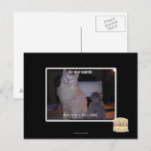 Diz Mai Squidz Briefkaart (Voorkant / Achterkant)