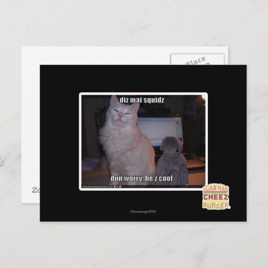 Diz Mai Squidz Briefkaart (Voorkant / Achterkant)
