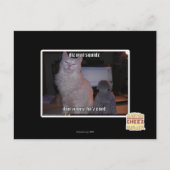 Diz Mai Squidz Briefkaart (Voorkant)