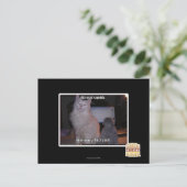 Diz Mai Squidz Briefkaart (Staand voorkant)