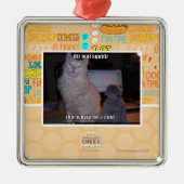 diz mai squidz metalen ornament (Voorkant)