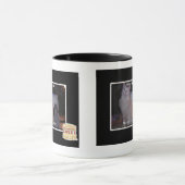 diz mai squidz mok (Midden)