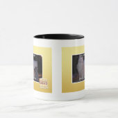 diz mai squidz mok (Midden)