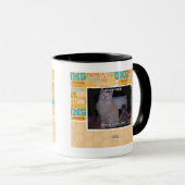 diz mai squidz mok (Voorkant rechts)