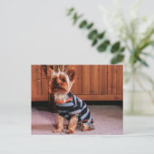 DJ - Yorkshire Terrier - Smith Briefkaart (Staand voorkant)
