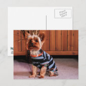 DJ - Yorkshire Terrier - Smith Briefkaart (Voorkant / Achterkant)