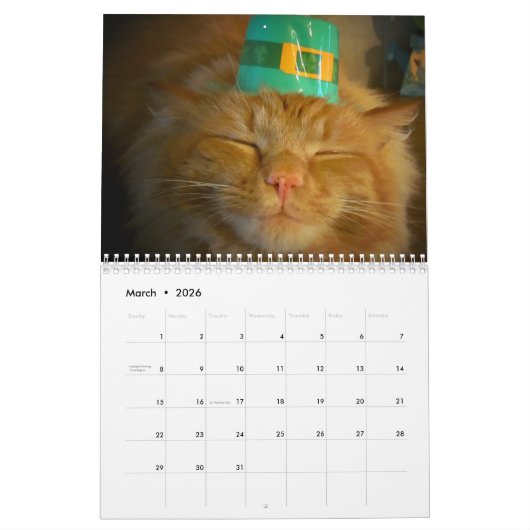 DJ's Cat Style 2 Kalender (Mar 2026)