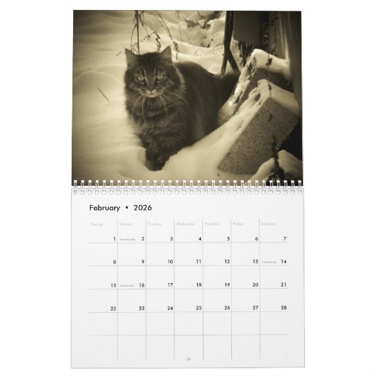 DJ's Cat Style 2 Kalender (Feb 2026)