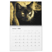 DJ's Cat Style Kalender (Jan 2026)