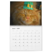 DJ's Cat Style Kalender (Mar 2027)