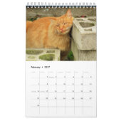 DJ's kat één pagina Kalender (Feb 2027)