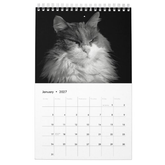 DJ's kat één pagina Kalender (Jan 2027)