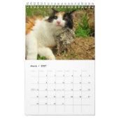 DJ's kat één pagina Kalender (Mar 2027)