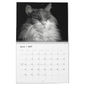 DJ's kat stijl in zwart-wit Kalender (Mar 2027)