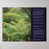 DK Meditation Series: Meditation III Poster (Voorkant)