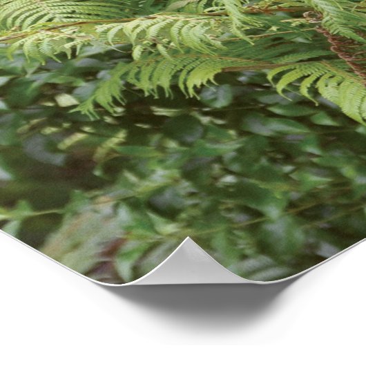 DK Meditation Series: Meditation III Poster (Hoek)