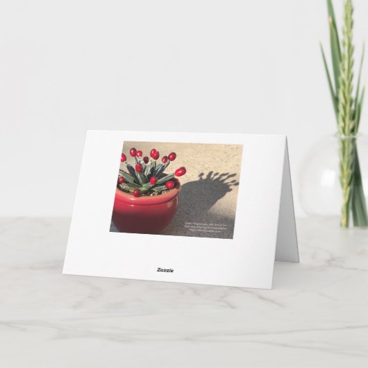 DLBaldwin Kaart (Achterkant)