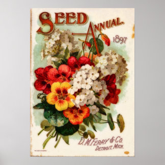 DM Ferry Flower Catalog Advertisation Poster