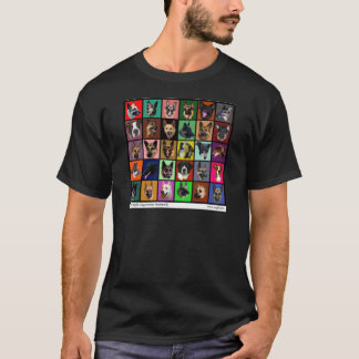 DM Rainbow Souls T-shirt