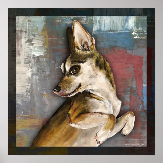 Dmbo Poster (Voorkant)