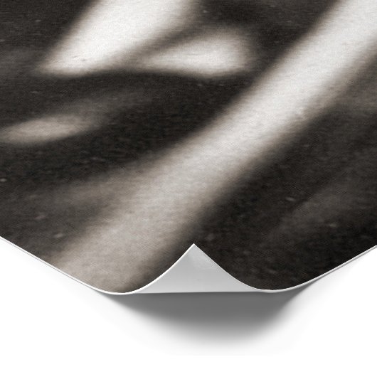 Dmitri Ivanovich Mendeleev Portrait Poster (Hoek)