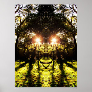 DMT 'AURUS Forest Poster' Poster