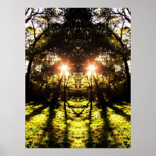 DMT 'AURUS Forest Poster' Poster (Voorkant)