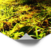 DMT 'AURUS Forest Poster' Poster (Hoek)