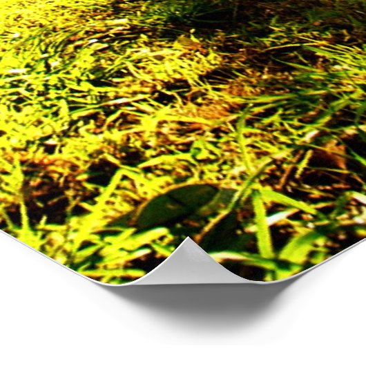 DMT 'AURUS Forest Poster' Poster (Hoek)