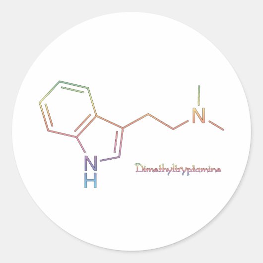 DMT Rainbow Ronde Sticker (Voorkant)
