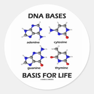 DNA-basen voor de levenscyclus (chemiemologische m Ronde Sticker