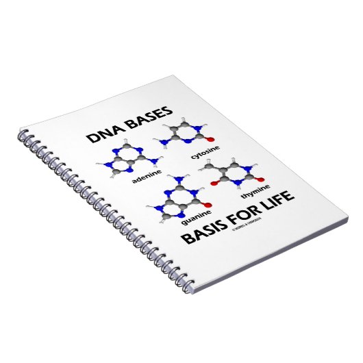 DNA-basen voor de moleculaire structuur van het le Notitieboek (Rechterzijde)