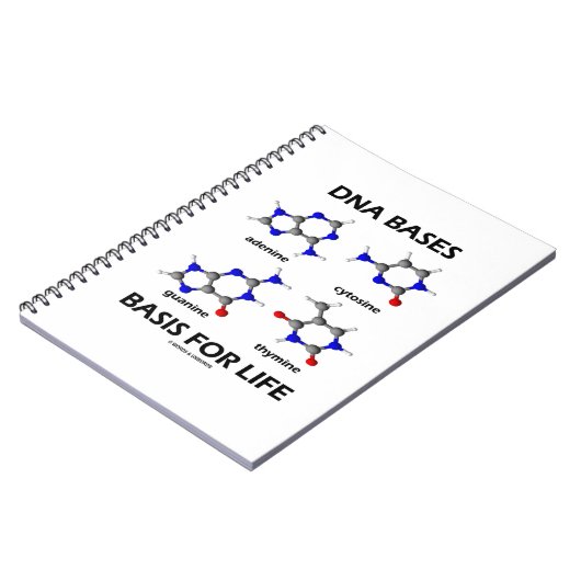 DNA-basen voor de moleculaire structuur van het le Notitieboek (Linkerzijde)