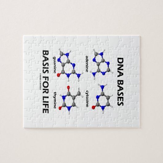 DNA basen voor leven (moleculaire structuur) Legpuzzel (Horizontaal)