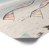 DNA-BOE of -boom op het strand POSTER (Hoek)