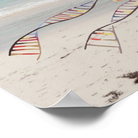 DNA-BOE of -boom op het strand POSTER (Hoek)